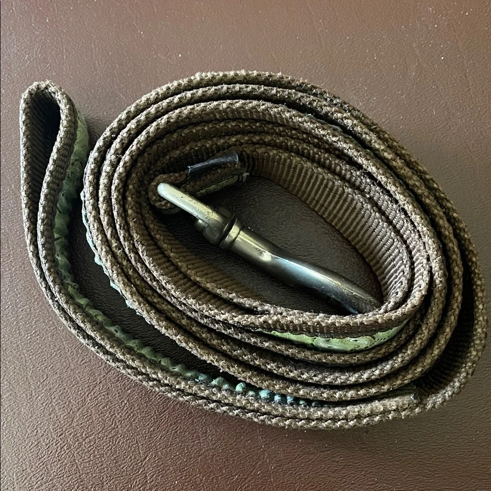 Brown and Green Dog Leash 44”